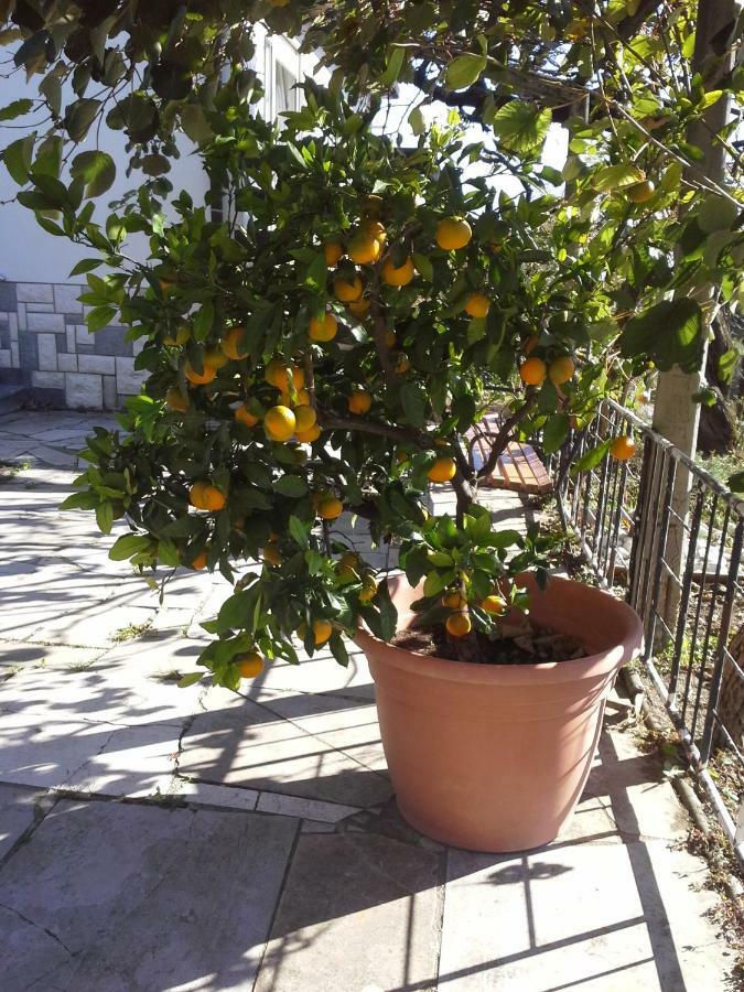 Apartma Bajci Ajdovščina Exterior foto